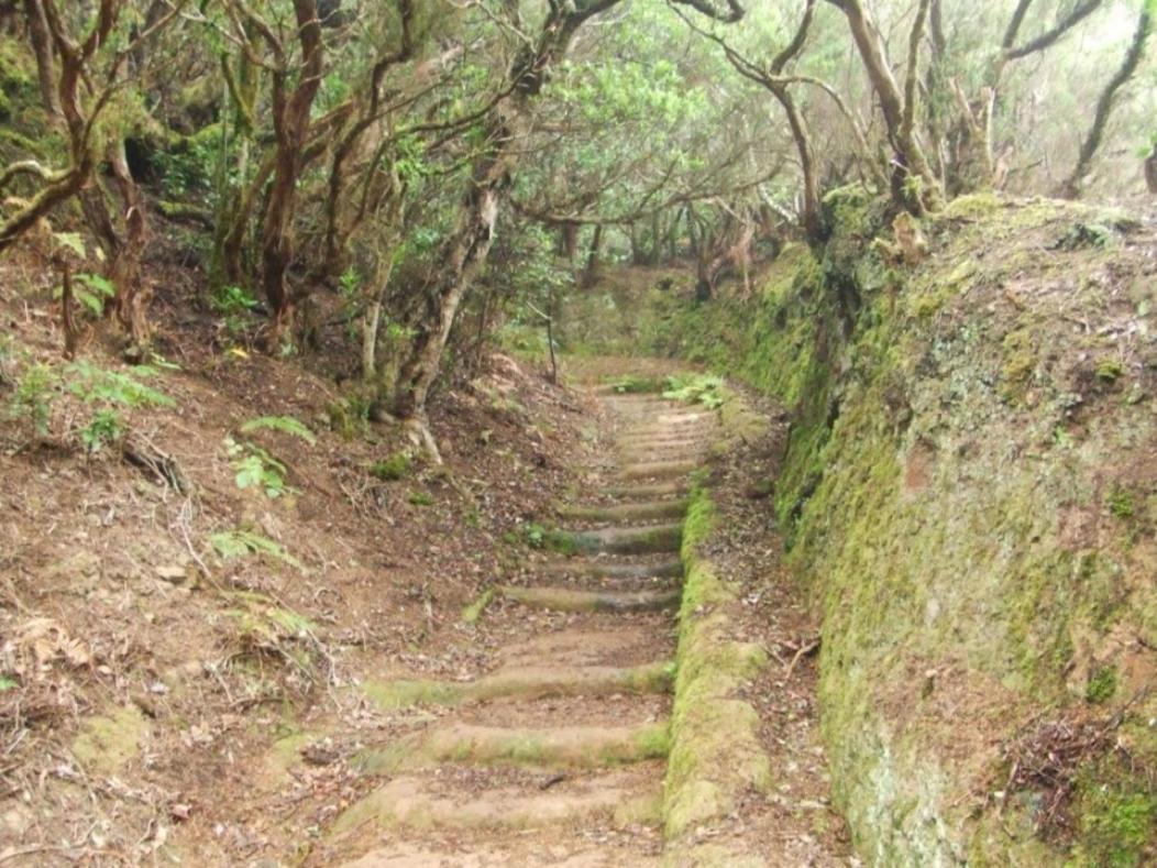 Casa Del Cu Bano A- Biosphere Reserve Taganana Kültér fotó